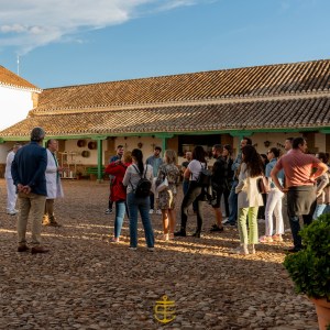 Castilla-La Mancha Manchego Cheese Experience