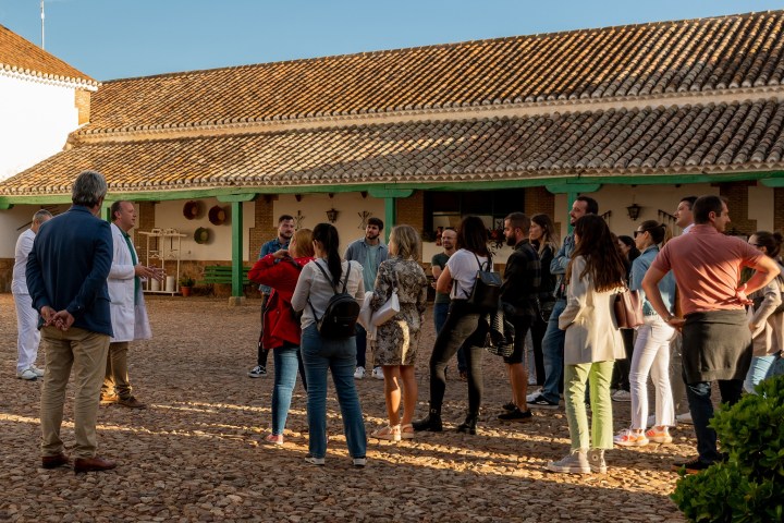 Castilla-La Mancha Manchego Cheese Experience