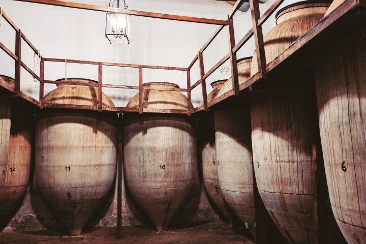 Valdepeñas Wine Tasting Experience