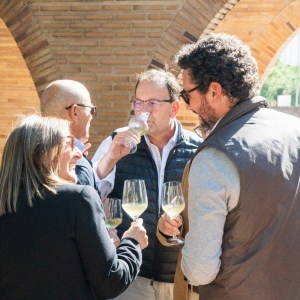 Aragon Guided Tour & Wine Tasting Experience