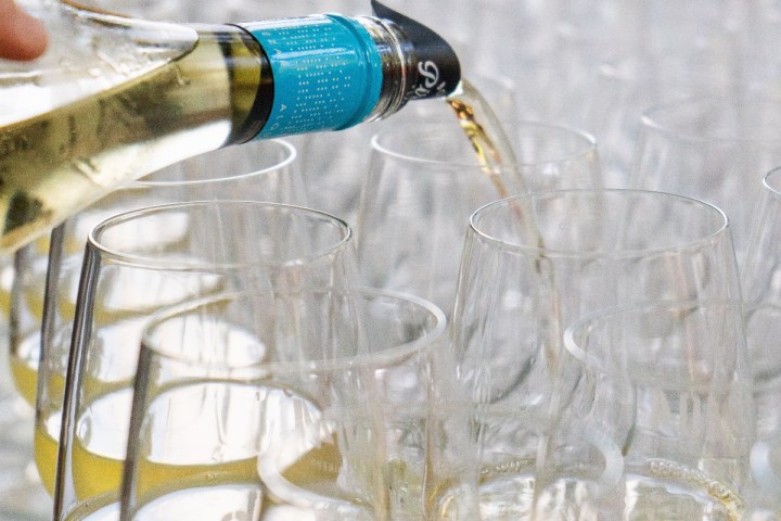 Aragon Guided Tour & Wine Tasting Experience