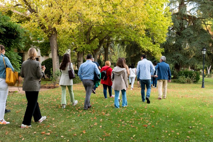 Castilla-La Mancha Manchego Cheese Experience