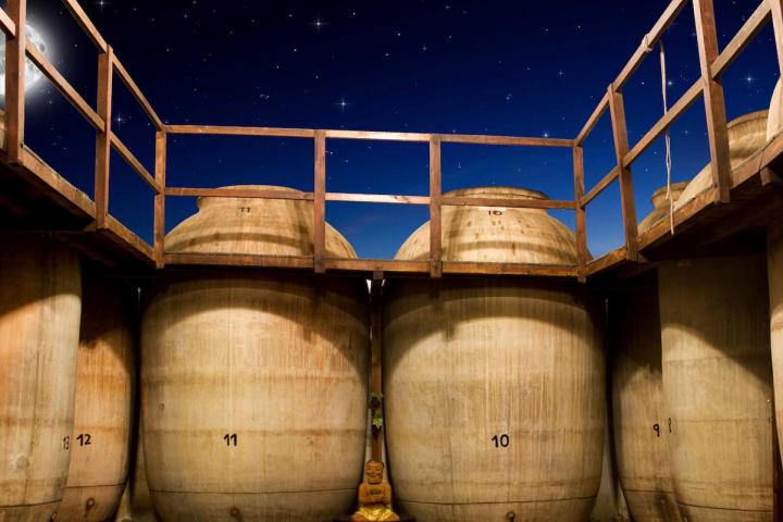 Valdepeñas Wine Tasting Experience