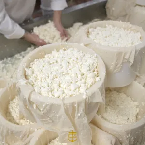 Castilla-La Mancha Manchego Cheese Experience