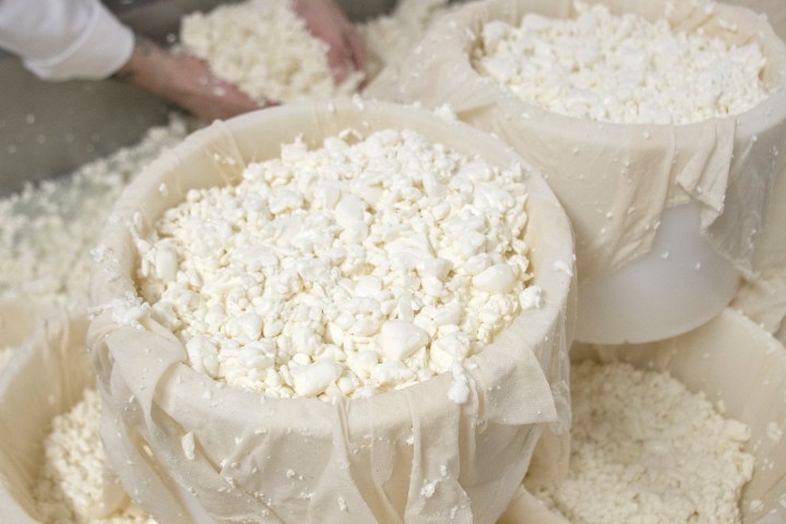 Castilla-La Mancha Manchego Cheese Experience