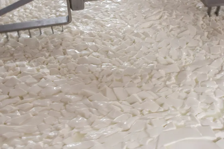 Castilla-La Mancha Manchego Cheese Experience