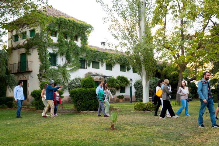 Castilla-La Mancha Manchego Cheese Experience