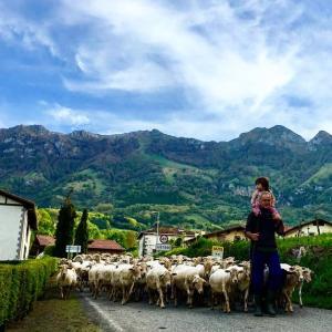 Navarra Cheese Experience