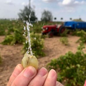 Castilla-La Mancha Essence of Royal Fields Experienc