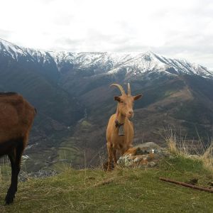 Aragon Animal Farm Experience