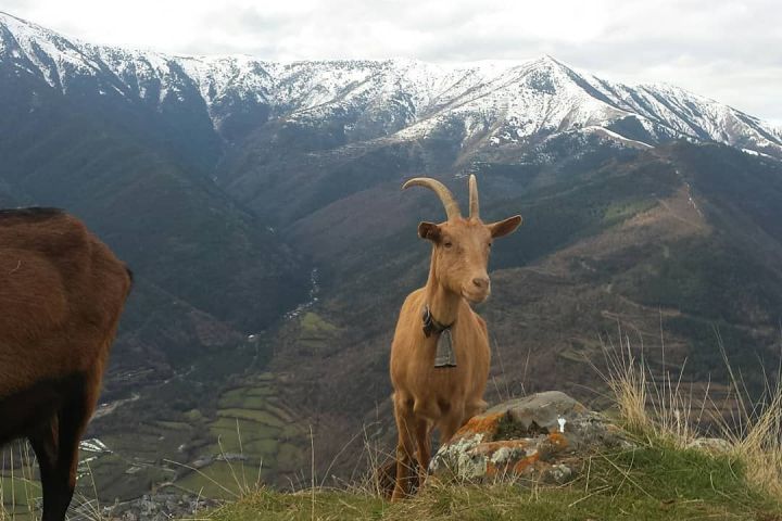 Aragon Animal Farm Experience