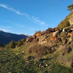 Aragon Animal Farm Experience