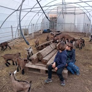 Aragon Animal Farm Experience