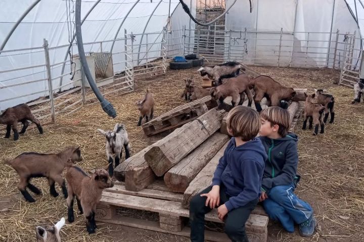 Aragon Animal Farm Experience