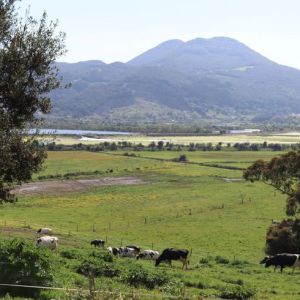 Cantabria Artisan Ice Cream Workshop Experience