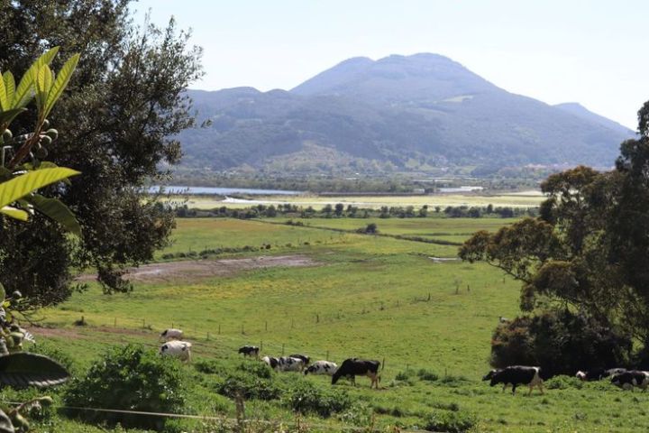 Cantabria Artisan Ice Cream Workshop Experience