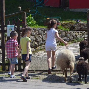 Asturias Authentic Farm Experience