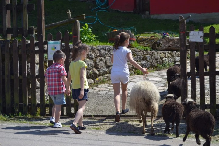 Asturias Authentic Farm Experience