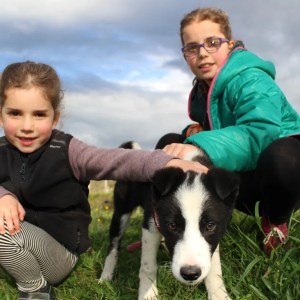 Asturias Authentic Farm Experience