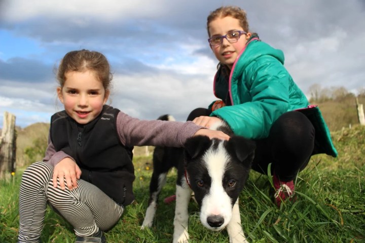 Asturias Authentic Farm Experience