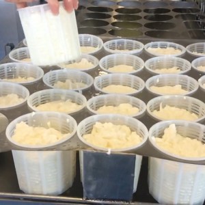 Cantabria Make Your Cheese Experience