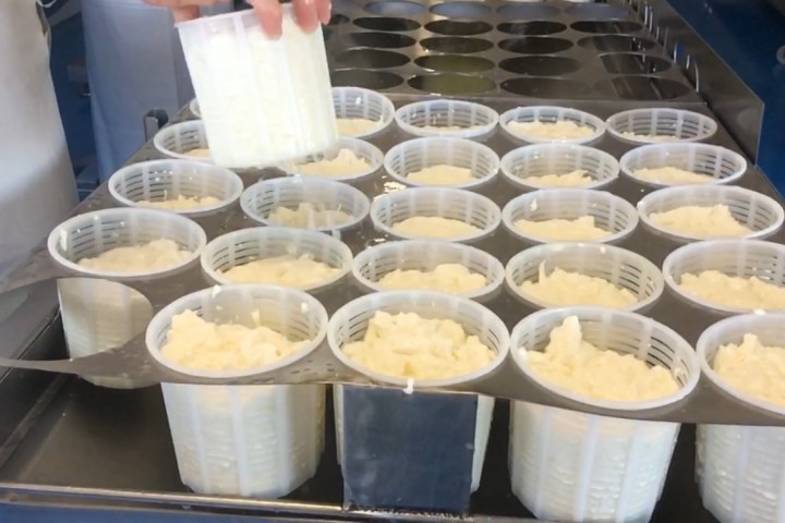 Cantabria Make Your Cheese Experience