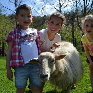 Asturias Authentic Farm Experience
