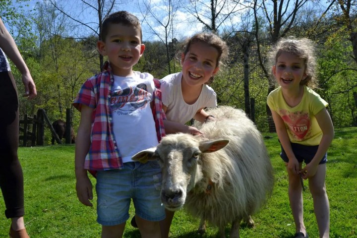 Asturias Authentic Farm Experience