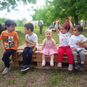 Naples Bee Tour & Picnic Experience