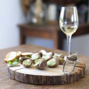 Burgundy Snail Farm Experience