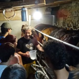 Aragon Animal Farm Experience