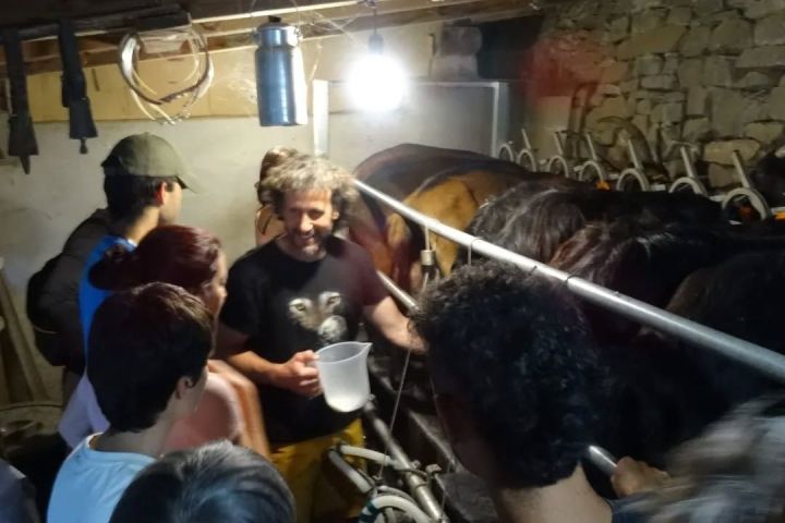 Aragon Animal Farm Experience