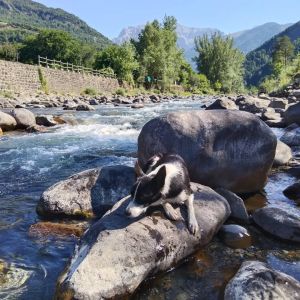 Aragon Animal Farm Experience