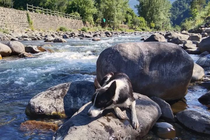 Aragon Animal Farm Experience