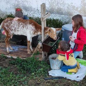 Toledo Eco Tour Experience