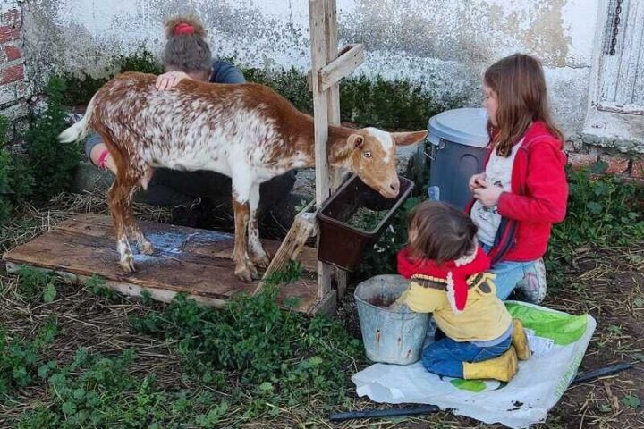Toledo Eco Tour Experience
