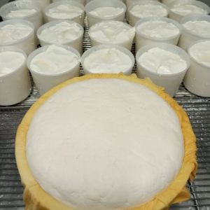 Aragon Animal Farm Experience