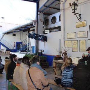 Valdepeñas Wine Tasting Experience