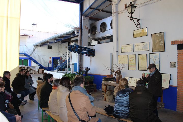 Valdepeñas Wine Tasting Experience