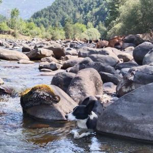 Aragon Animal Farm Experience