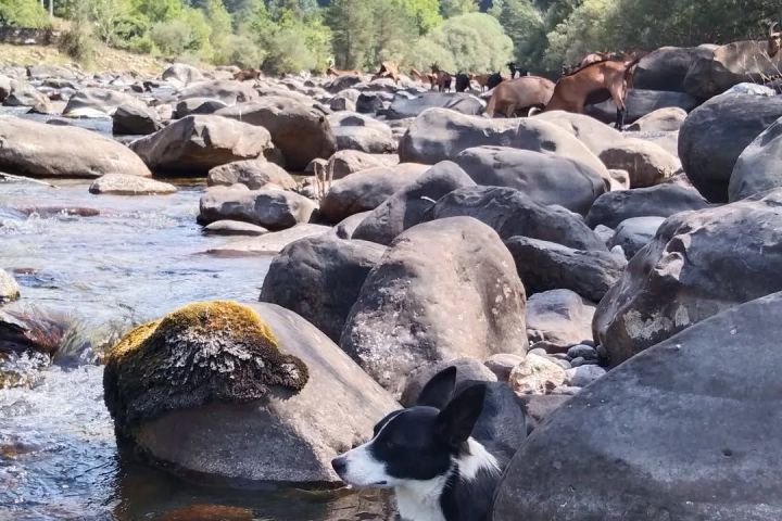 Aragon Animal Farm Experience