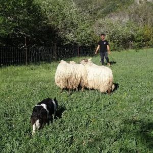 Aragon Animal Farm Experience