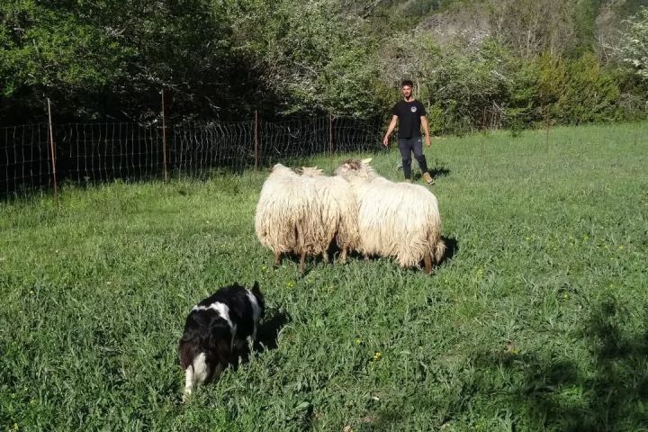 Aragon Animal Farm Experience