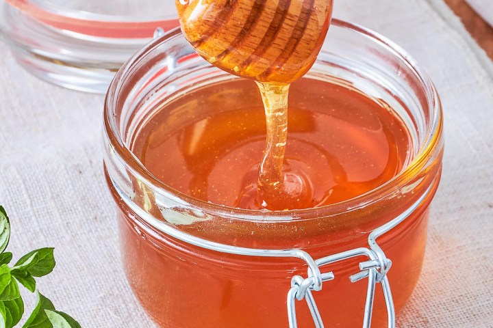 Naples Bee Tour & Picnic Experience