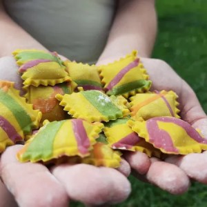 Cantabria Artisan Ice Cream Workshop Experience