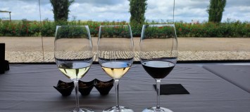 Extremadura Wine & Tapas Experience