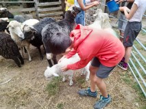 Asturias Authentic Farm Experience