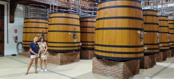 Castilla-La Mancha Iberian Flavors Experience