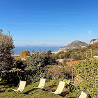 Sorrento Cooking Class Experience