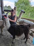 Loire Discovery Walk with Llamas & Alpacas Experience